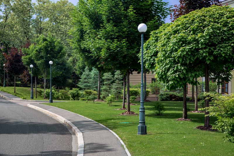 Street Paving